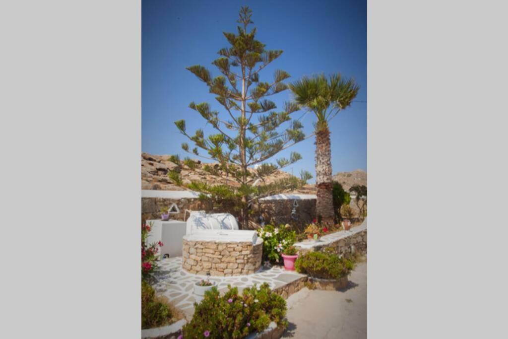 White Dreams Studio Mykonos Town Eksteriør bilde
